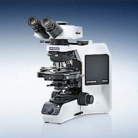 奥林巴斯BX53-P偏光显微镜