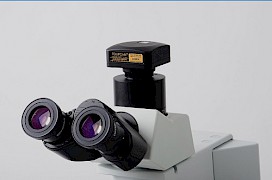 微视界相机与显微镜的连接方式