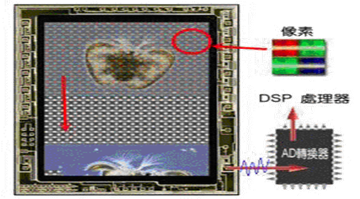 Frame-Transfer 全传