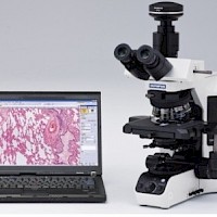 奥林巴斯BX53半电动荧光显微镜