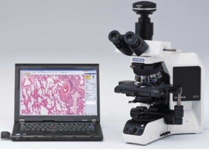 奥林巴斯BX53半电动荧光显微镜