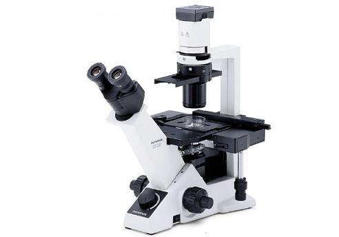 奥林巴斯CKX31临床级倒置生物显微镜