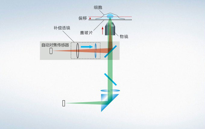 Z轴漂移补偿系统