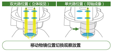 SMZ18高超数码成像