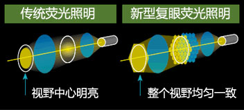 SMZ18明亮与高对比度的荧光图像